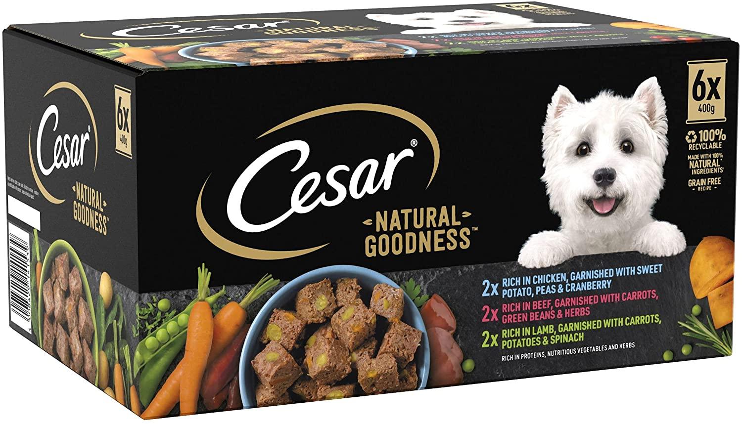 Cesar home dog sales food