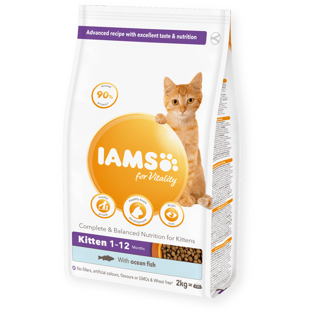 Iams for vitality kitten best sale